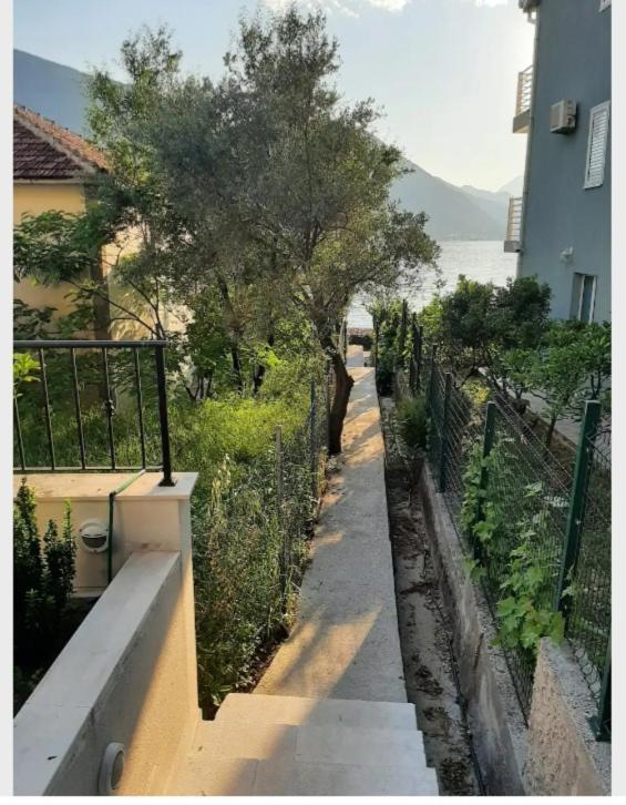 Apartments Boka Blue Dobrota Котор Екстериор снимка